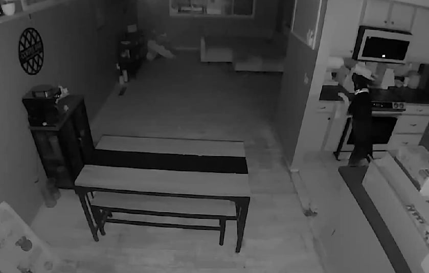 Screengrab : The homeowner managed to extinguish the fire before firefighters arrived. 